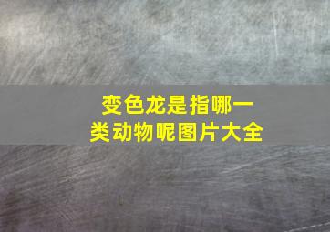 变色龙是指哪一类动物呢图片大全