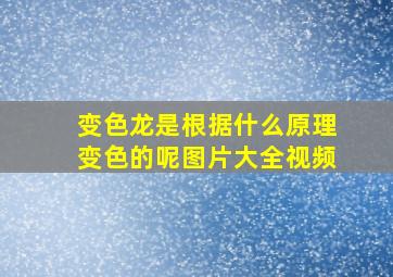 变色龙是根据什么原理变色的呢图片大全视频