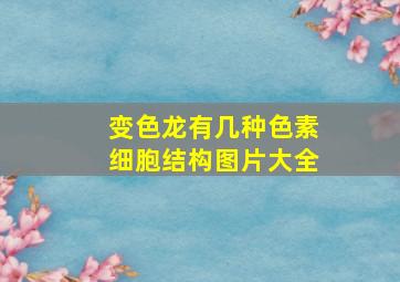 变色龙有几种色素细胞结构图片大全