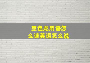 变色龙用语怎么读英语怎么说