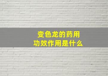 变色龙的药用功效作用是什么