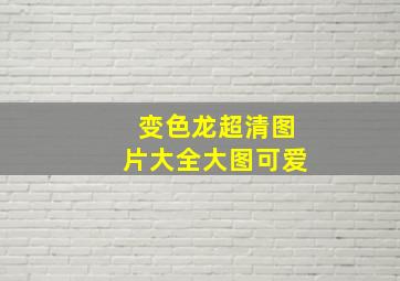 变色龙超清图片大全大图可爱