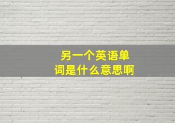 另一个英语单词是什么意思啊