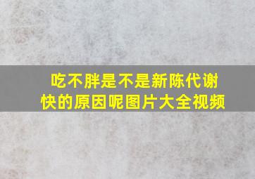 吃不胖是不是新陈代谢快的原因呢图片大全视频