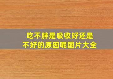 吃不胖是吸收好还是不好的原因呢图片大全