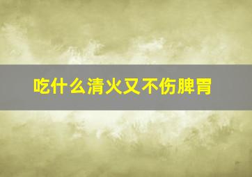 吃什么清火又不伤脾胃