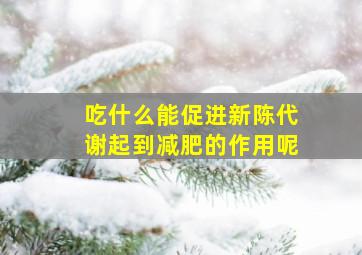 吃什么能促进新陈代谢起到减肥的作用呢