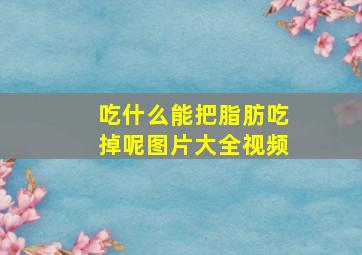 吃什么能把脂肪吃掉呢图片大全视频