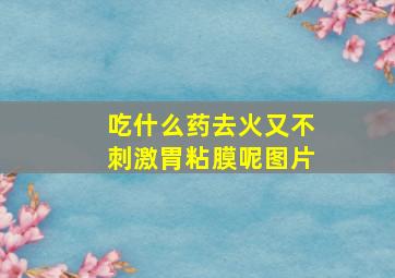 吃什么药去火又不刺激胃粘膜呢图片