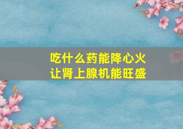 吃什么药能降心火让肾上腺机能旺盛