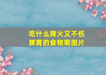 吃什么降火又不伤脾胃的食物呢图片