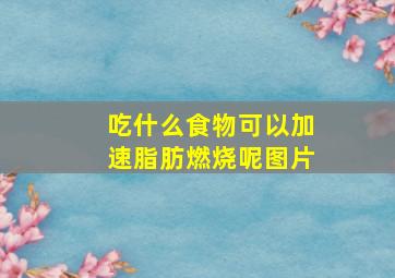 吃什么食物可以加速脂肪燃烧呢图片