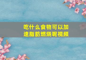 吃什么食物可以加速脂肪燃烧呢视频