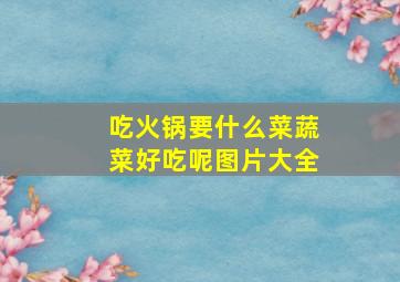 吃火锅要什么菜蔬菜好吃呢图片大全