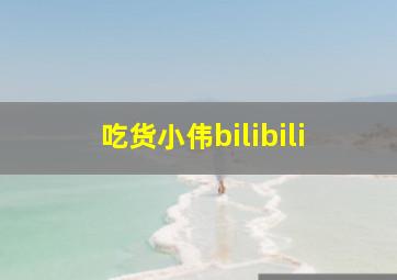 吃货小伟bilibili