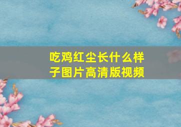 吃鸡红尘长什么样子图片高清版视频