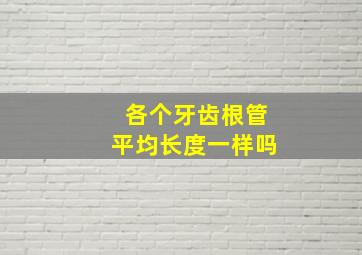 各个牙齿根管平均长度一样吗