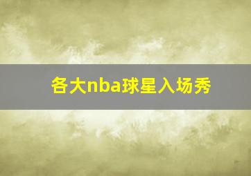 各大nba球星入场秀