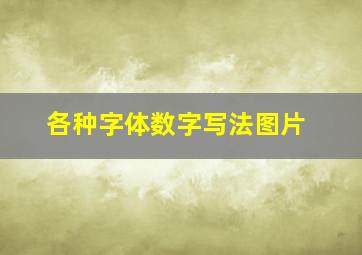 各种字体数字写法图片