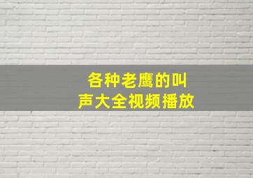 各种老鹰的叫声大全视频播放