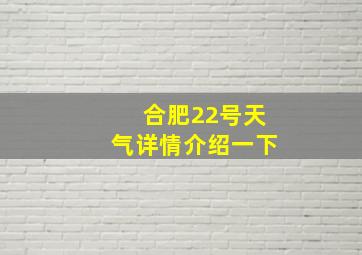 合肥22号天气详情介绍一下