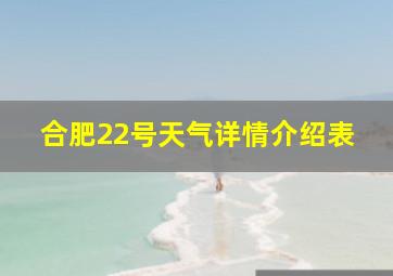 合肥22号天气详情介绍表