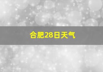 合肥28日天气