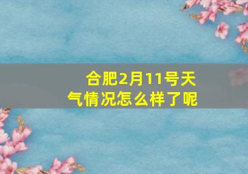 合肥2月11号天气情况怎么样了呢