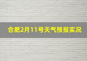 合肥2月11号天气预报实况