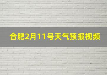 合肥2月11号天气预报视频