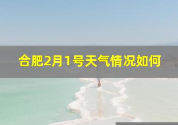 合肥2月1号天气情况如何