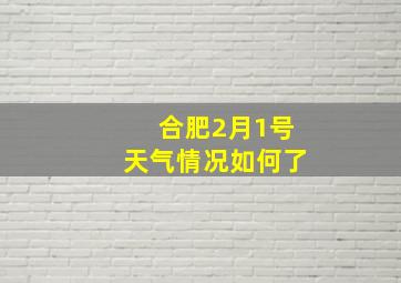 合肥2月1号天气情况如何了