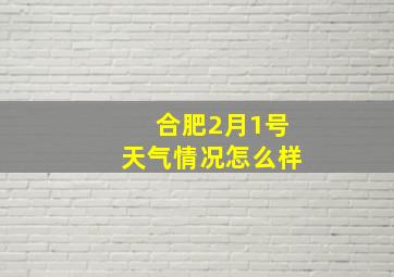 合肥2月1号天气情况怎么样