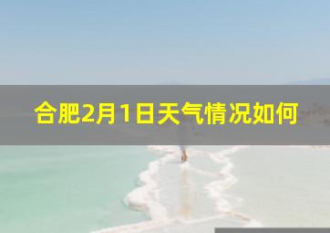 合肥2月1日天气情况如何