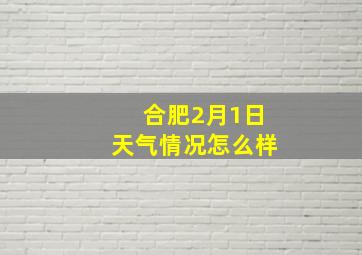 合肥2月1日天气情况怎么样