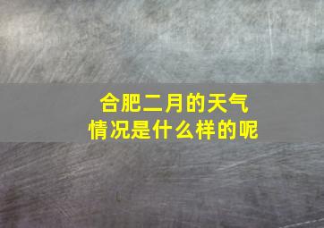 合肥二月的天气情况是什么样的呢