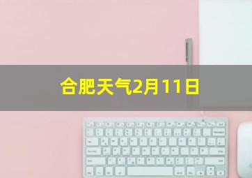 合肥天气2月11日