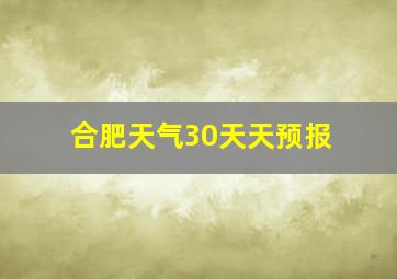 合肥天气30天天预报