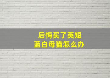 后悔买了英短蓝白母猫怎么办