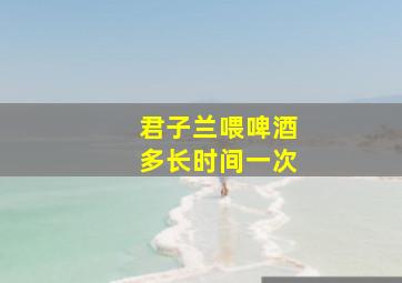 君子兰喂啤酒多长时间一次