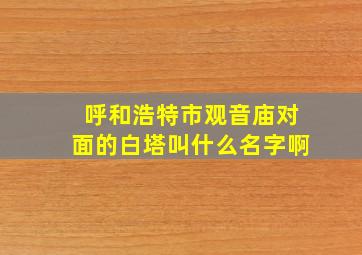 呼和浩特市观音庙对面的白塔叫什么名字啊