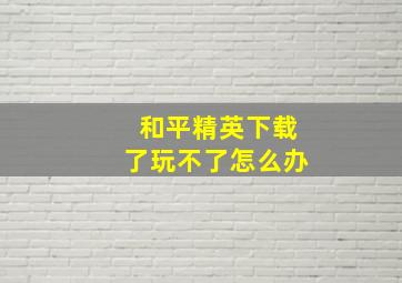 和平精英下载了玩不了怎么办