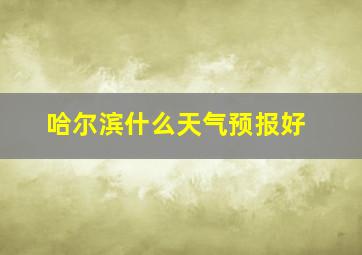 哈尔滨什么天气预报好