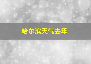 哈尔滨天气去年