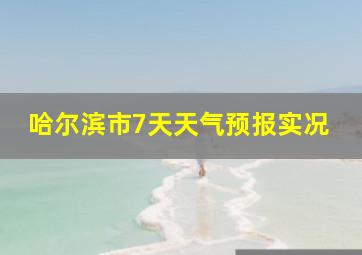 哈尔滨市7天天气预报实况