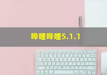 哔哩哔哩5.1.1