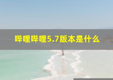 哔哩哔哩5.7版本是什么