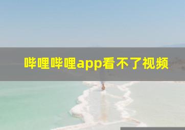 哔哩哔哩app看不了视频