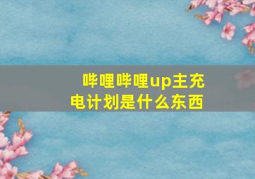 哔哩哔哩up主充电计划是什么东西