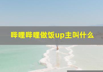 哔哩哔哩做饭up主叫什么